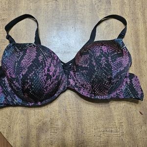 Torrid bra 50b